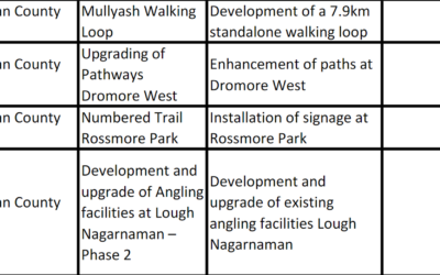 New Pathway Upgrades At Dromore West Cootehill